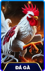 78WIN ⚽️ Link Vào 78WIN.COM Mới Nhất 2026, Đăng Ký Húp +99k 3 da ga 78win school